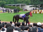P1010211m.jpg